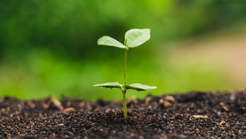 Ultime notizie aziendali su Australia avverte: etichette fuorvianti causano massiccia contaminazione da plastica