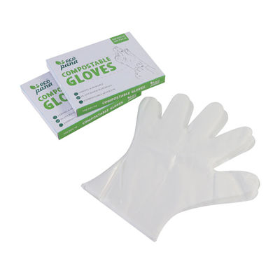 Guanti usa e getta compostabili resistenti alle perdite Preparazione del cibo Doveri domestici Cura personale